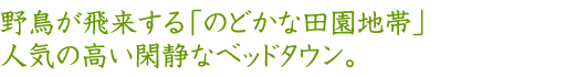 野鳥が飛来する「のどかな田園地帯」